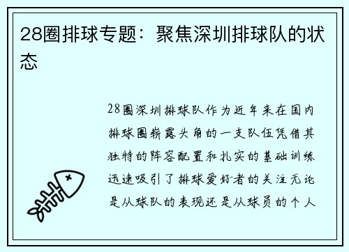 28圈排球专题：聚焦深圳排球队的状态